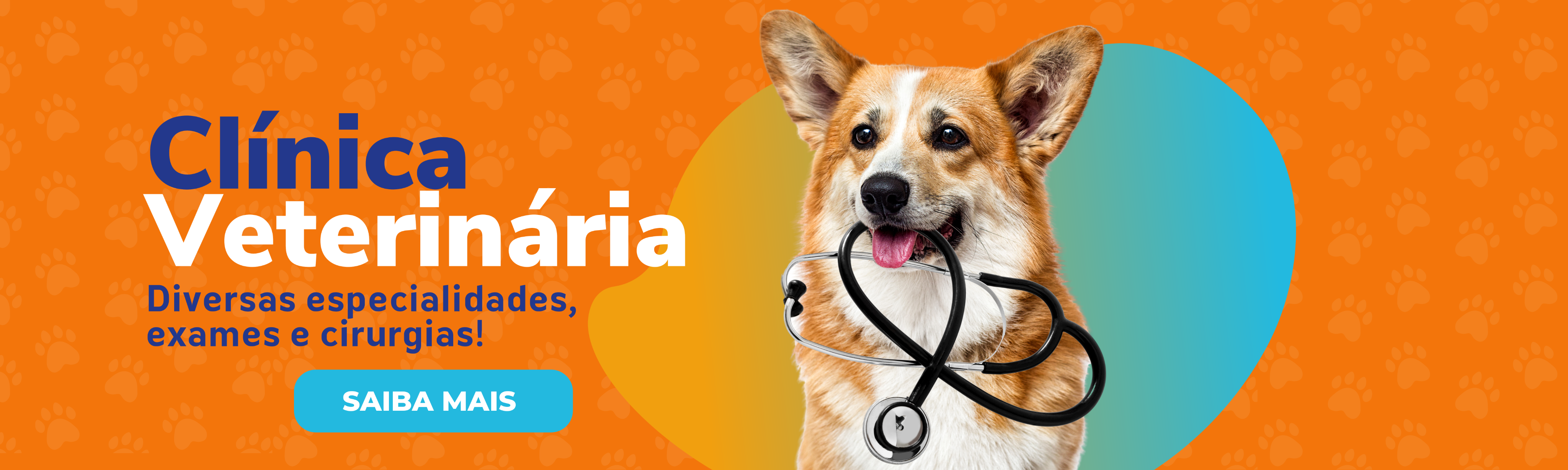 Banner Clínica Veterinária